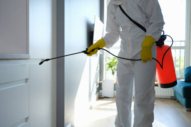 Best Mold Odor Removal Services  in Denver City, TX